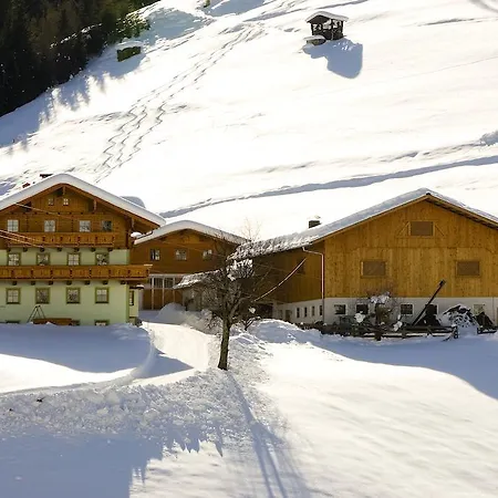 Apartment Kleinellmauhof Großarl